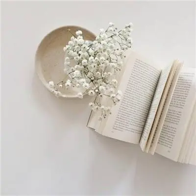 Redis支持的数据类型